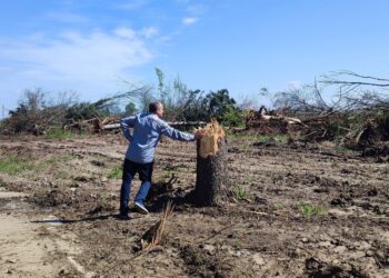 De la 691.495 la 1.933.186. La Aeroportul Internaţional Craiova, lucrările de extindere au decolat