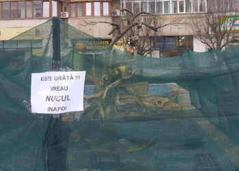 La umbra nucului bătrân cresc rămurelele din sân