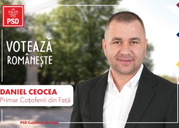 Daniel Ceocea: Experiență valoroasă în slujba comunei Coțofenii din Față