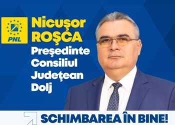 Nicușor Roșca:Doljul are nevoie de investițiile susținute în infrastructura rutieră