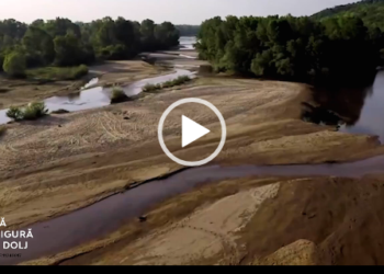 Misiune pentru 1 Decembrie: Salvăm Doljul frumos, votăm #PSD!