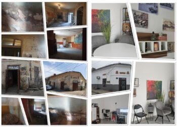 Emilia Neagu (USR) se leagă de jurnaliștii craioveni și lansează acuzații false la adresa Uniunii Ziariștilor din Oltenia